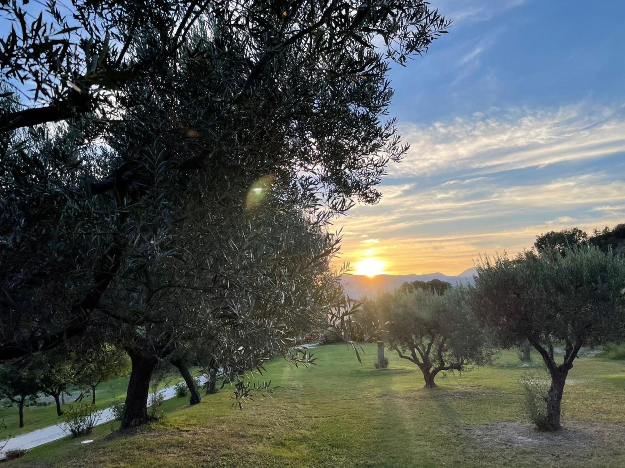 Agriturismo Villa Rosetta San Severino Marche Esterno foto