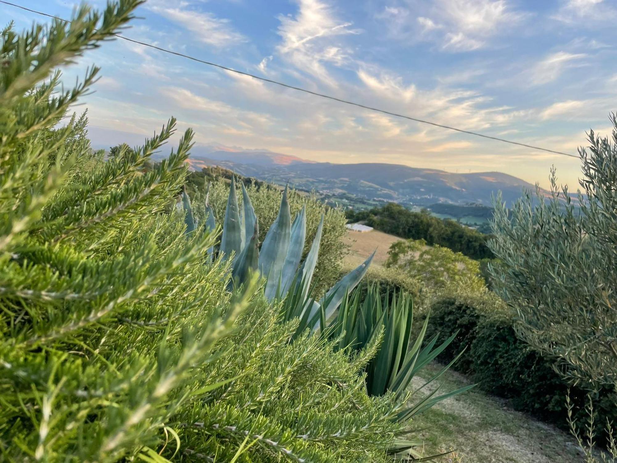 Agriturismo Villa Rosetta San Severino Marche Esterno foto