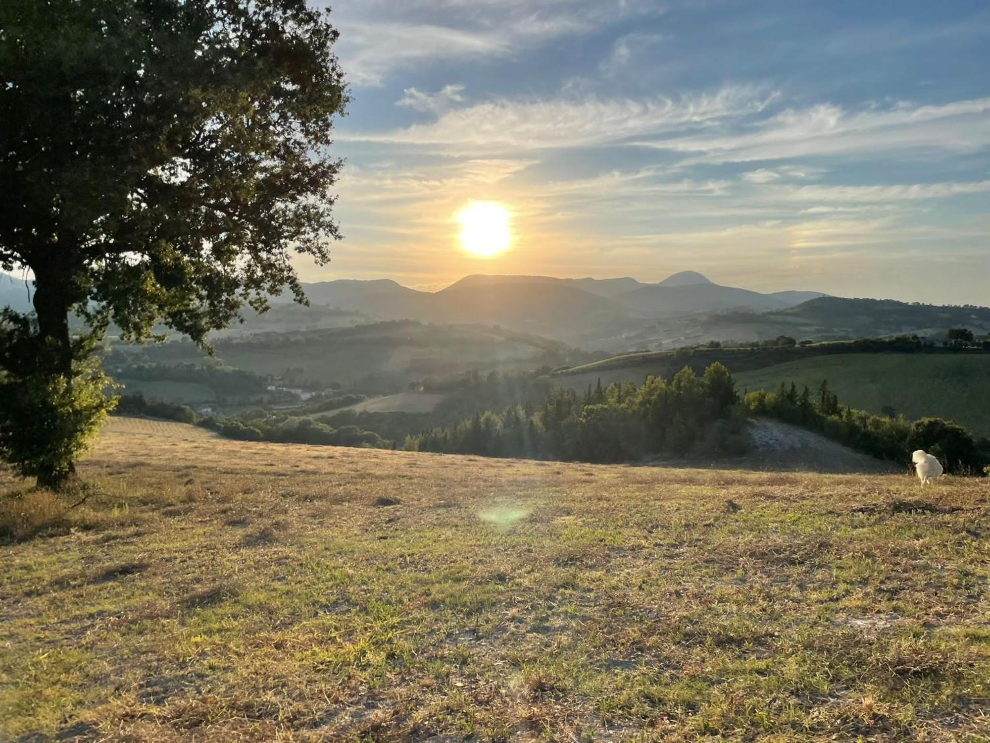 Agriturismo Villa Rosetta San Severino Marche Esterno foto