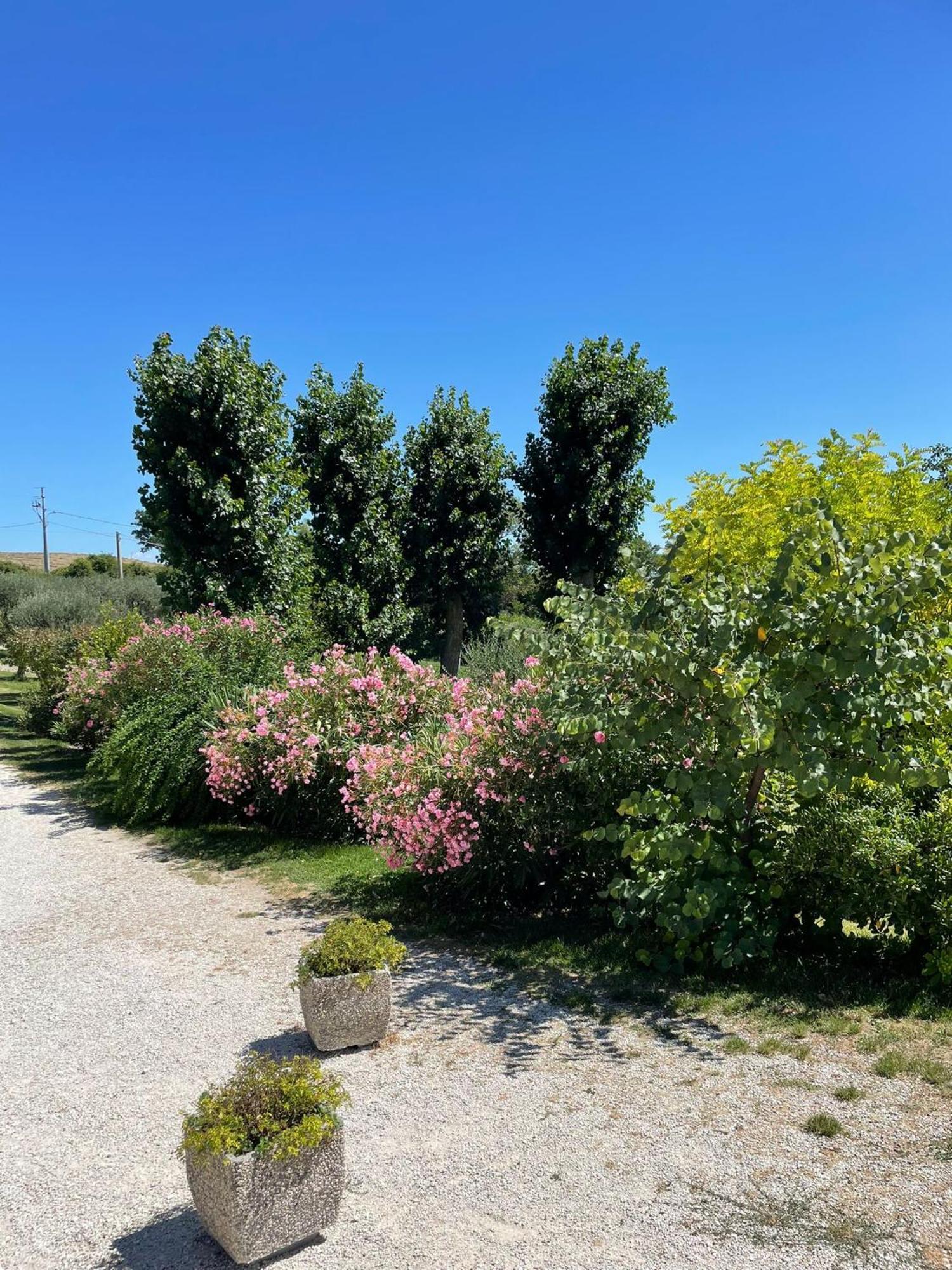 Agriturismo Villa Rosetta San Severino Marche Esterno foto