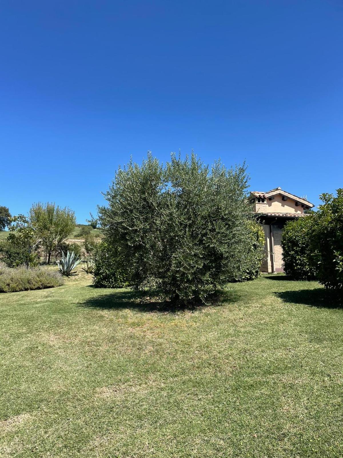 Agriturismo Villa Rosetta San Severino Marche Esterno foto