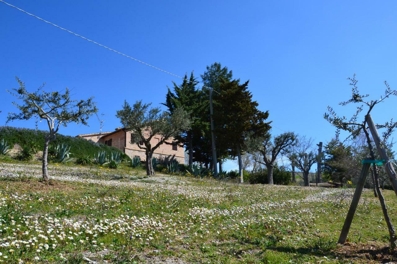 Agriturismo Villa Rosetta San Severino Marche Esterno foto