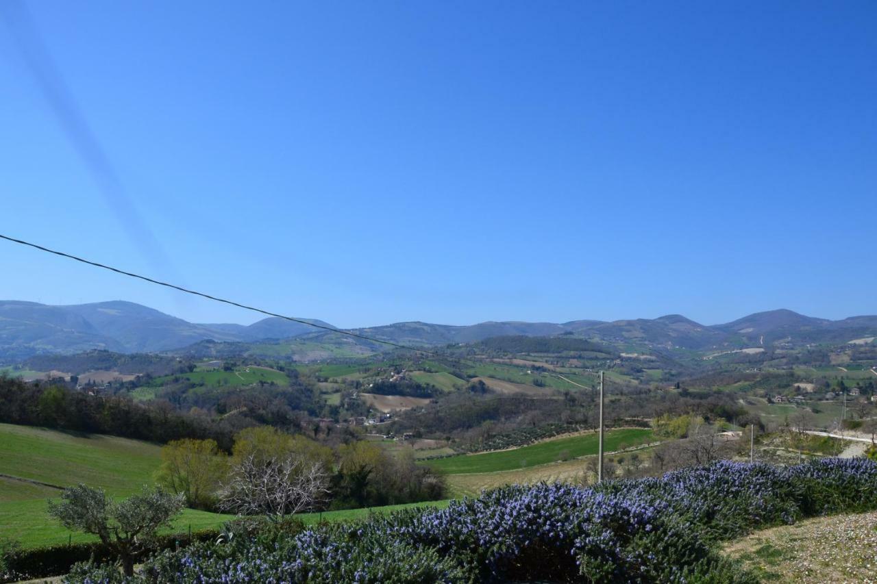 Agriturismo Villa Rosetta San Severino Marche Esterno foto