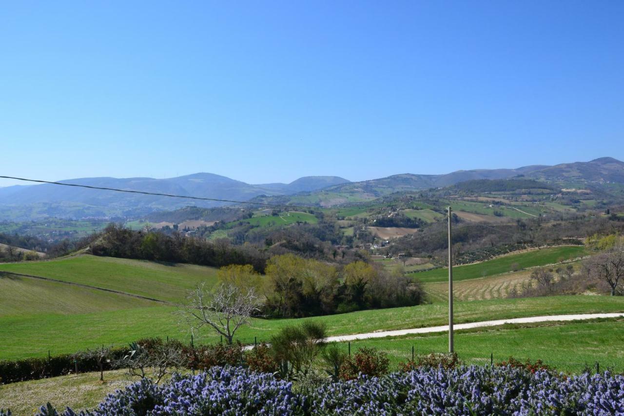 Agriturismo Villa Rosetta San Severino Marche Esterno foto